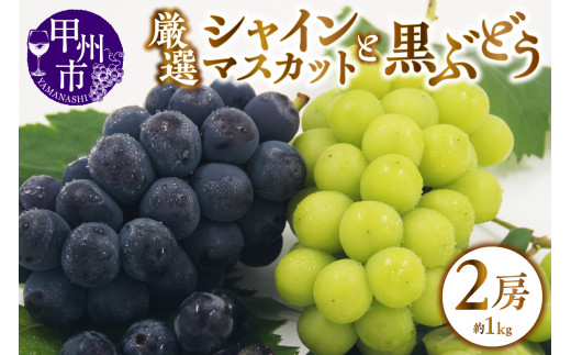 甲州市産 厳選 ぶどう 2種詰合せセット 2房 約1.0kg【2026年発送】（APX）B-199 【シャインマスカット 巨峰 ピオーネ ぶどう 葡萄 ブドウ 令和8年発送 期間限定 山梨県産 甲州市 フルーツ 果物】