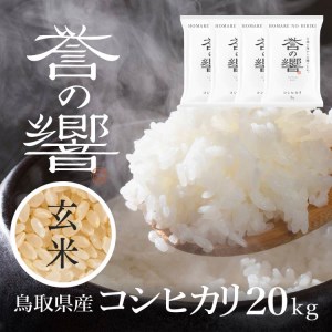 【要確認：配送時期指定NG】【先行予約】【新米】【令和7年産】（玄米 20kg）優栽：特別栽培米 鳥取県日野町産 コシヒカリ お米 米