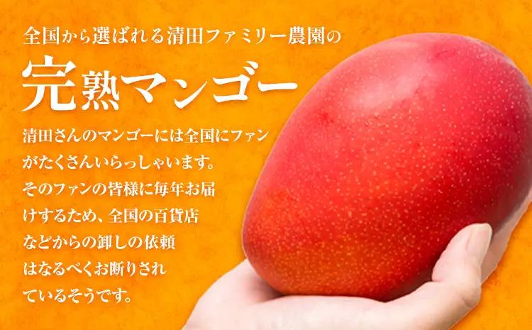 マンゴー 秀品 清田ファミリー農園 2玉