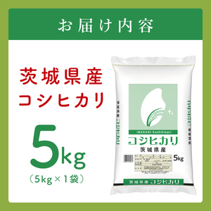 【数量限定】令和7年茨城県産コシヒカリ5kg【お米 ごはん こしひかり おにぎり ごはん 茨城県 水戸市】(JB-15)