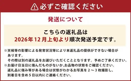 小国紅 「 レンジでチン 」 3kg （ Lサイズ 1本 × 10本 ） × 2箱 計6kg やさい 野菜 甘み 国産 熊本県産 サツマイモ さつまいも 芋 濃厚 ミネラル スイーツ 【 2026年1