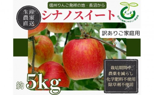 
                  【訳あり】生産農家直送 人にやさしい 長沼りんご・シナノスイート5kg（ご家庭用） |  りんご 林檎 フルーツ 果物 シナノスイート 家庭用 長沼 農園 おすすめ 人気 送料無料 長野県 長野市 信州 信濃 ふるさと納税
                