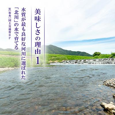 ふるさと納税 若狭町 【令和8年産先行受付】福井県若狭町つきあかり(1等米)　10kg(5kg×2袋) |  | 01