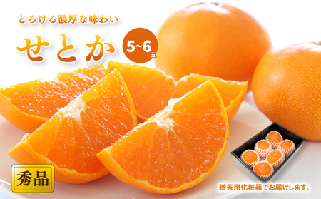 【2月中旬から発送】 せとか ＜秀品＞(2L-3L / 5-6玉）贈答用化粧箱入り | せとか くだもの せとか デザート せとか 高評価 せとか フルーツ せとか 人気 みかん おすすめ みかん 国産 みかん 旬 せとか【KK3081】