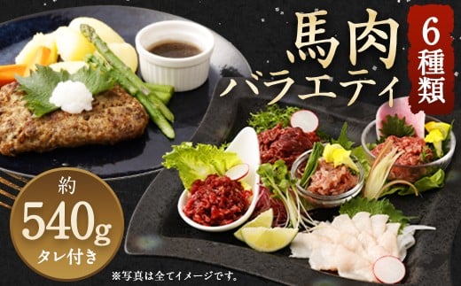 6種 馬肉 バラエティ 約540g 馬肉 お肉 赤身 コウネ ユッケ ハンバーグ タレ付