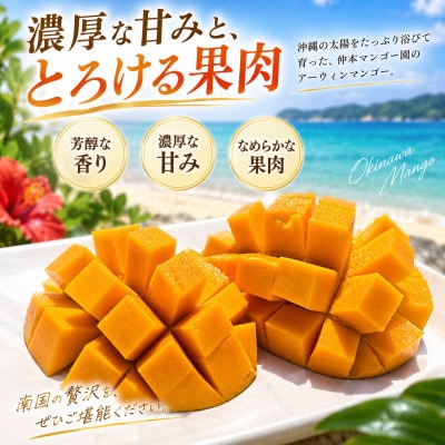 【2027年6月下旬から順次発送・贈答用】仲本マンゴー園のアーウィンマンゴー2kg(4～6玉)【配送不可地域：離島】