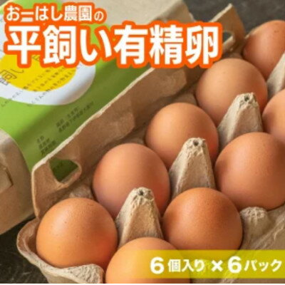 【ふるさと納税】おーはし農園の平飼い有精卵 36個(6個×6パック)【配送不可地域：離島】【1723584】