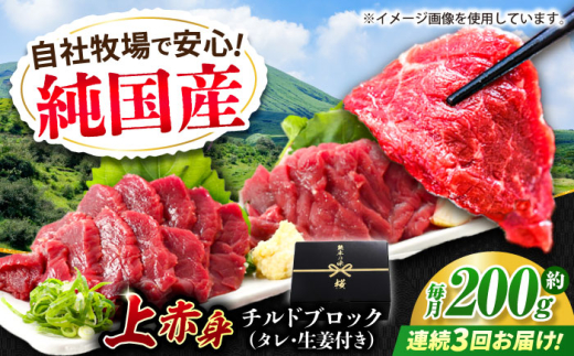 【全3回定期便】『純国産』熊本の味 上赤身 馬刺し 約200g ブロック チルド 冷蔵 タレ付き【有限会社 九州食肉産業】 [AYCN039]