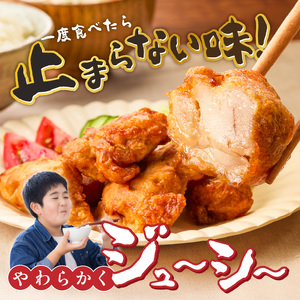 唐揚げ　500g×2袋 _ 500g × 2袋 計 1000g 肉 鶏肉 手間なし 簡単 調理 レンジ調理 便利 おかず 惣菜 晩ごはん おつまみ 晩酌 加工品 食品 グルメ 揚げ物 フライ 冷凍 福