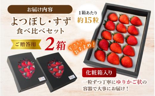 【贈答用】 高級いちご よつぼし すず 食べ比べセット （15粒 × 2箱） ゆりかご入り いちご 【hfpr001-01】