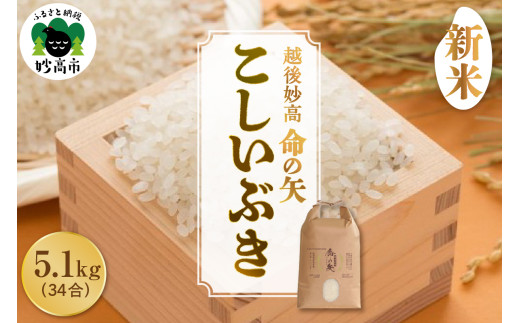 【先行予約】令和7年産 越後妙高命の矢 こしいぶき 5.1kg