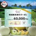 【ふるさと納税】【福井県あわら市】 日本旅行 地域限定旅行クーポン【60,000円分】 ／ 旅行 宿泊 旅館 ホテル 宿泊券 チケット 北陸新幹線 観光 あわら温泉 北陸 福井県 あわら市