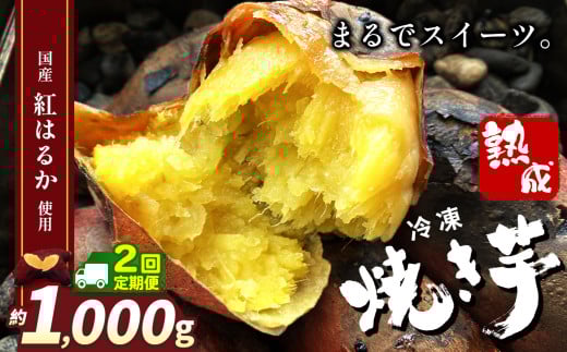 【定期便2回】冷凍焼き芋 ( スイーツ芋 )  |  スイーツ 焼き 1000g 定期便2回 栃木県 真岡市 甘い 美味しい 焼き芋 さつまいも サツマイモ スイーツ デザート ご褒美 芋 いも コールドスイーツ 皮ごと 老若男女 赤ちゃん 離乳食 添加物 不使用