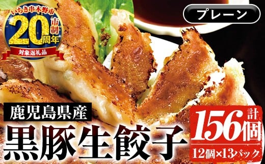 
            【家計応援】鹿児島黒豚生餃子 合計156個！（12個×13P） 国産 鹿児島県産 黒豚 餃子 ぎょうざ ギョーザ ギョウザ 冷凍餃子 冷凍 冷凍食品 惣菜 弁当 おかず 小分け 詰め合わせ 大容量【CP-023H】
          