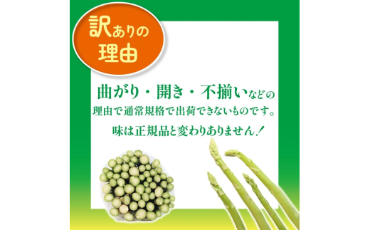 【訳あり】 予約 アスパラガス さぬきのめざめ 1kg アスパラ グリーンアスパラ 野菜 やさい 旬 旬の野菜 季節の野菜 産地直送 冷蔵 冷蔵配送 疲労回復 免疫力向上 食物繊維 ビタミンC 柔らか