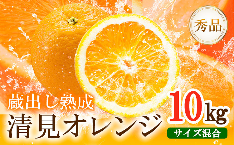 
熟成清見オレンジ秀品 10kg どの坂果樹園《3月上旬-5月中旬頃出荷》 和歌山県 日高川町 清見オレンジ 旬 柑橘 フルーツ 果物 オレンジ 熟成
