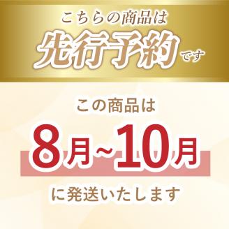 【2025年 先行予約】山梨県産　シャインマスカット 1.1kg (２房～3房)　山梨 フルーツ 人気 甘い 糖度 ぶどう シャイン マスカット 名産 糖度 大粒 種無し 種なし やまなし 葡萄 ブド
