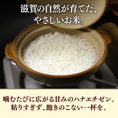 ふるさと納税 彦根市 令和7年産 ハナエチゼン白米無洗米10kg(5kg×2袋) 噛むたびに広がる甘み |  | 01