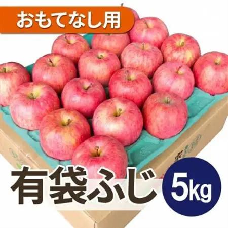【2026年5月下旬～6月出荷予定】平均糖度13度以上! 有袋ふじ 約5kg おもてなし用【配送不可地域：離島・沖縄県】【1707175】