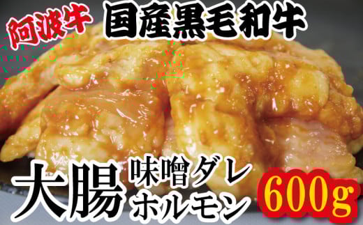 ホルモン 大腸 阿波牛 味噌漬け 200g×3パック 小分け 計600g  国産 牛 黒毛和牛 鍋 焼肉 脂 焼き シマチョウ もつ 肉 牛肉 BBQ 【北海道・東北・沖縄・離島への配送不可】