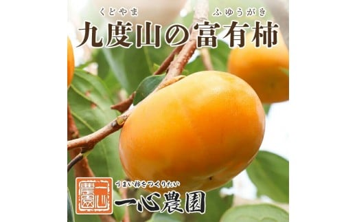 
            一心農園の富有柿 家庭用 約1.8kg
          
