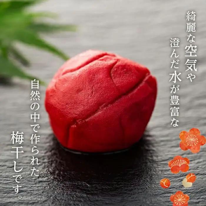 完熟南高梅使用　くずれ梅　しそ熊野梅干　1.5kg（500g×3）まろやか仕立て（塩分10％）【訳あり】