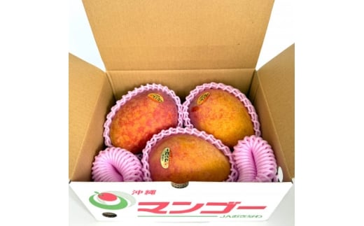 ＜2026年6月から順次発送・訳あり＞アップルマンゴー3.0kg(6～12玉)【1681762】