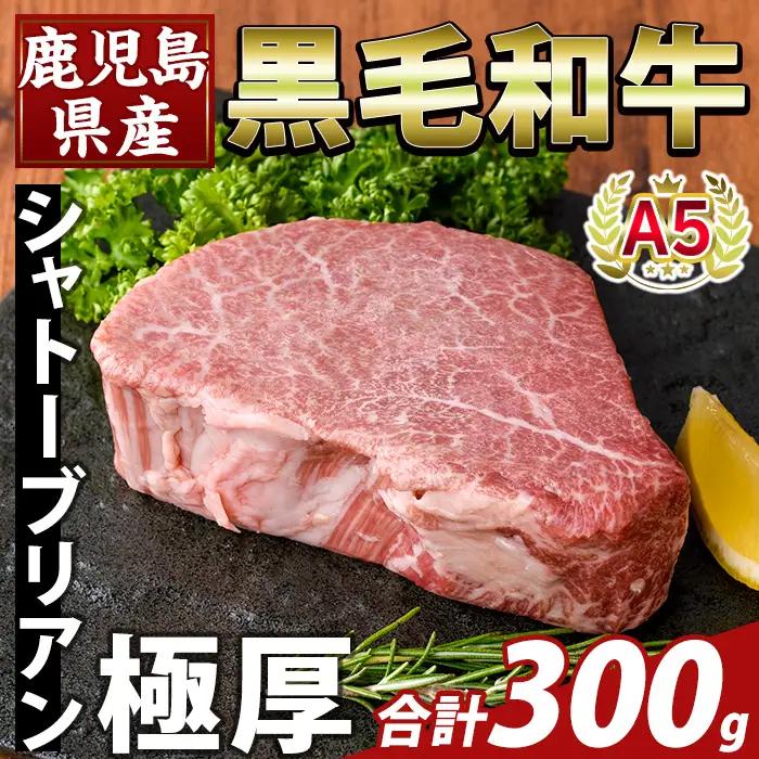 K-706-A 数量限定！希少部位 鹿児島県産A5黒毛和牛『極厚』シャトーブリアン(計300g)【ふるさと産直バザール】霧島市 牛肉 ステーキ ステーキ肉 国産 鹿児島県産 黒毛和牛 肉 精肉 牛