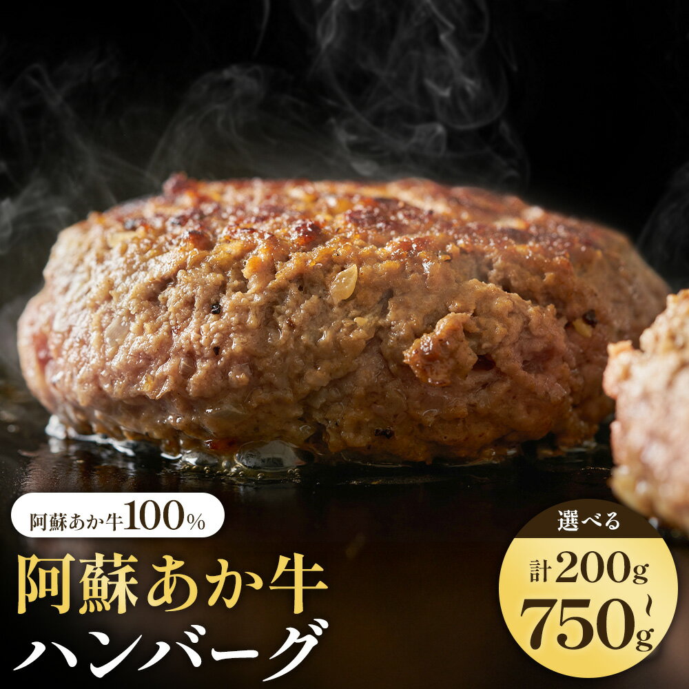【ふるさと納税】阿蘇あか牛ハンバーグ 選べる 200g 400g 700g 750g 株式会社LARKS《30日以内に出荷予定(土日祝除く)》ハンバーグ あか牛 牛肉 熊本県 冷凍 送料無料