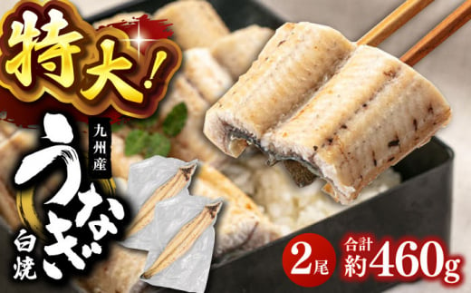 特大！ 鹿児島産 うなぎ 白焼 2尾セット ▼国産 鰻 ウナギ 白焼き 特大 本格 有頭 桂川町/山水商事 [ADAH009]