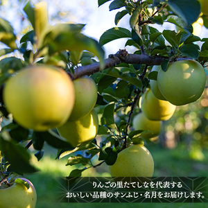 サンふじ・ぐんま名月ミックス（約５㎏、優13～18玉）　
