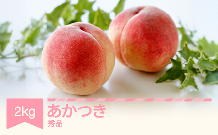 【先行予約】もも 桃 あかつき 約2kg 令和七年産 2025年産 山形県産 果物 フルーツ 送料無料 ※沖縄・離島への配送不可 si-moatx2