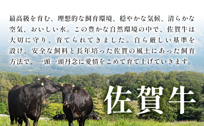 艶さし！訳あり！【A4～A5】 佐賀牛切り落とし 5kg (500g×10p)