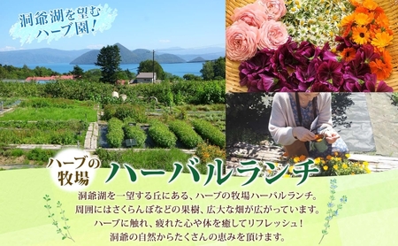 北海道 バスソルト 作り 体験 2枚 ハーブ ソルト 塩 岩塩 ヒマラヤ ミネラル オリジナル ハーブ畑 天然 乾燥ハーブ ドライハーブ リラックス 癒し リラクゼーション ハーバルランチ 送料無料 