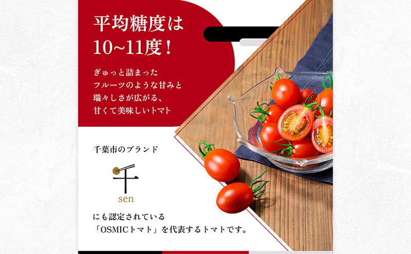 トマトグランプリ優勝 OSMIC トマト 500g Premium フルーツトマ