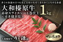 【ふるさと納税】(冷凍)大和榛原牛　すき焼き用　赤身　スライス　シート巻仕上　1kg／牛肉 黒毛和牛 A5 父の日 母の日 贈答 奈良県 宇陀市 お中元 暑中見舞い お土産