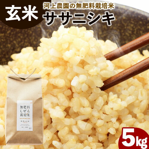 【ふるさと納税】無肥料栽培ササニシキ 玄米 5kg(5kg×1袋) 河上農園 岡山県矢掛町《30日以内に出荷予定(土日祝除く)》 農薬・化学肥料不使用 お米 コメ こめ