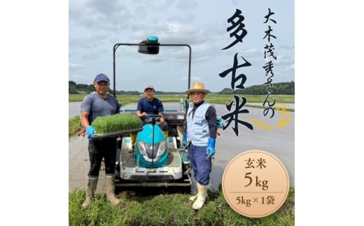多古米セレクション　大木茂秀さんの多古米コシヒカリ　玄米5kg　令和7年産【1655383】