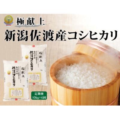 ふるさと納税 佐渡市 【毎月定期便】米・食味分析鑑定コンクール金賞 佐渡産コシヒカリ 精米 10kg全6回