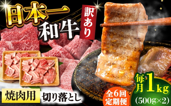 
                  【全6回定期便】【訳あり】【A4～A5】長崎和牛焼肉切り落とし(肩ロース・バラ）　1kg（500g×2p）【株式会社 MEAT PLUS】 [DBS047]長崎和牛 和牛 国産 牛肉  長崎和牛 焼肉 切り落とし 肩ロース バラ 1kg 500g 2パック6回定期便 定期便 6回 訳あり 訳アリ
                