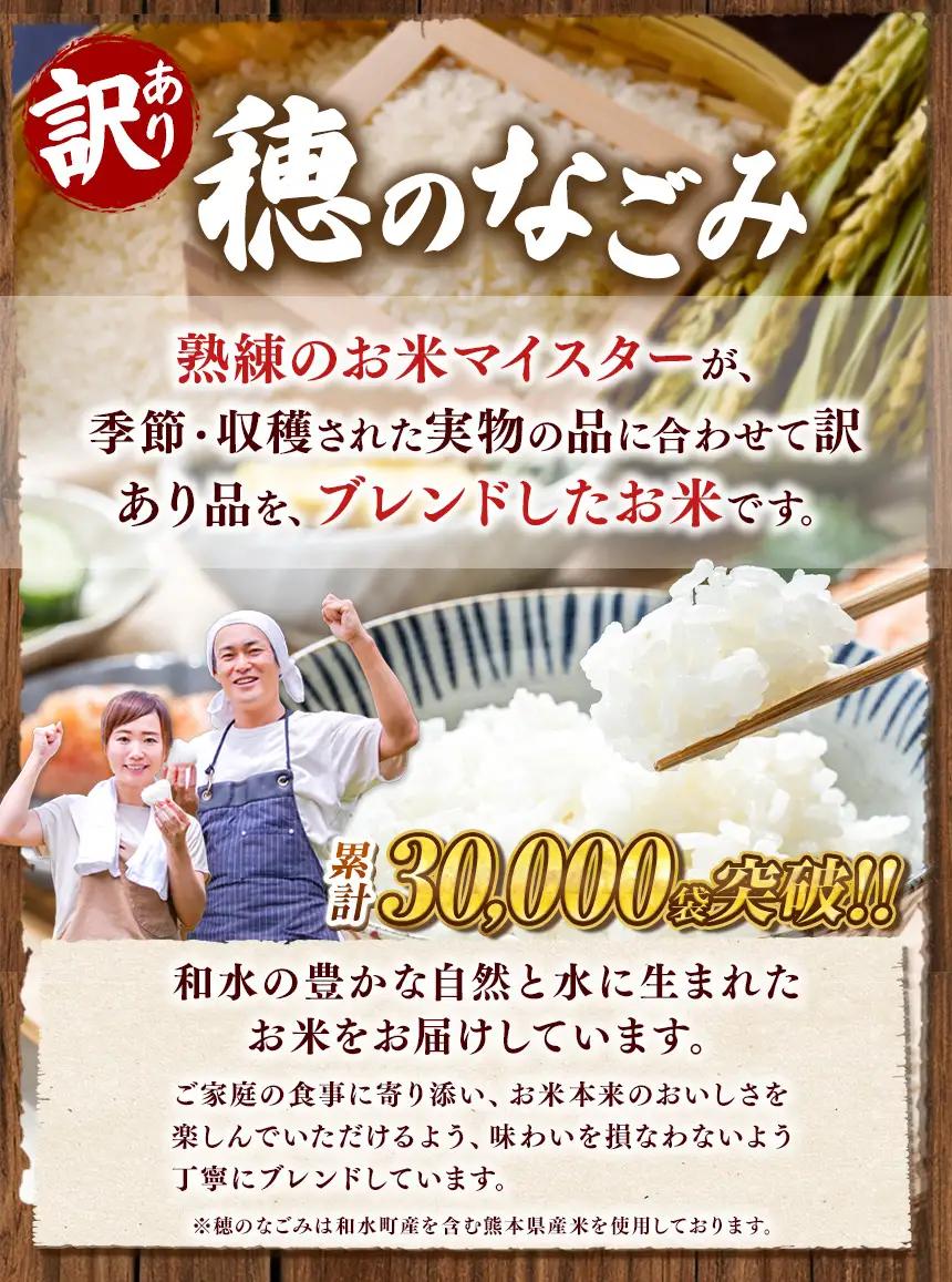 【 新米 予約 】 【 定期便 6回 】 令和8年産 熊本県産 穂のなごみ 白米 30kg こめ 米 訳あり 規格外