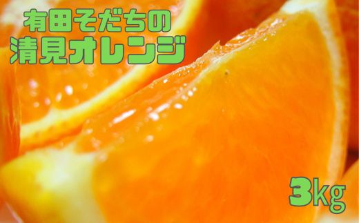 有田育ちの完熟清見オレンジ(ご家庭用)　3kg+200g(補償分)【2027年2月下旬～5月上旬頃に順次発送予定】【ard016C】