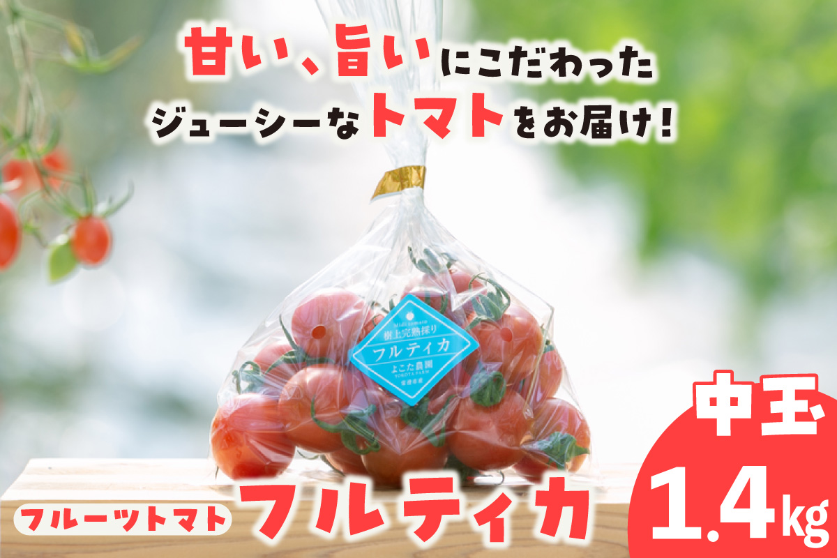 フルーツトマト　中玉フルティカ1.4kg│よこた農園 フルティカ 野菜 トマト 新鮮野菜 太陽の恵み 中玉トマト トマト料理 愛知県産 フルーツとまと 甘いトマト お取り寄せ グルメ 常滑市