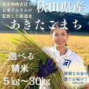 【ふるさと納税】【米農家直送】特Aランク厳選秋田県産あきたこまち【白米10kg】[H4-2302]