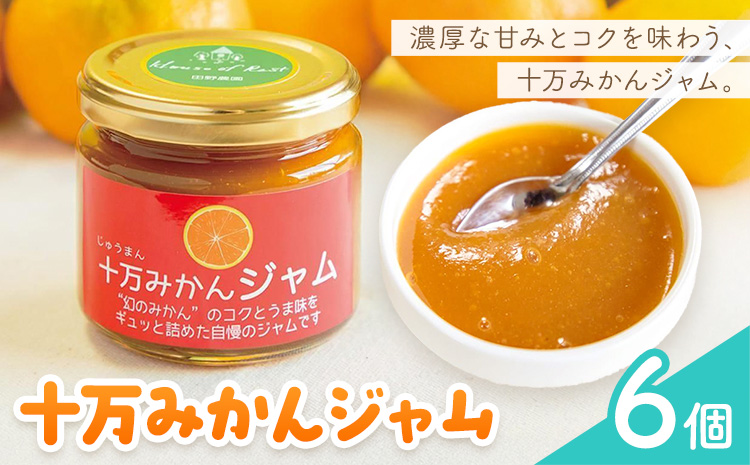 十万みかん ジャム 150g 6個 田野農園《30日以内に出荷予定(土日祝除く)》鹿児島県 さつま町 みかん 蜜柑 柑橘 果物 くだもの フルーツ ジューシー 送料無料