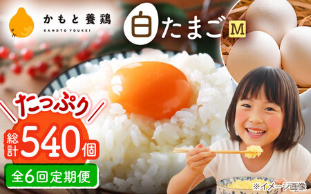 【全6回定期便】白たまご M玉 90個（85個＋5個割れ保証）【株式会社 かもと養鶏】タマゴ 玉子 熊本県 卵 国産 新鮮 しろたまご M玉 濃厚  [ZCA007]