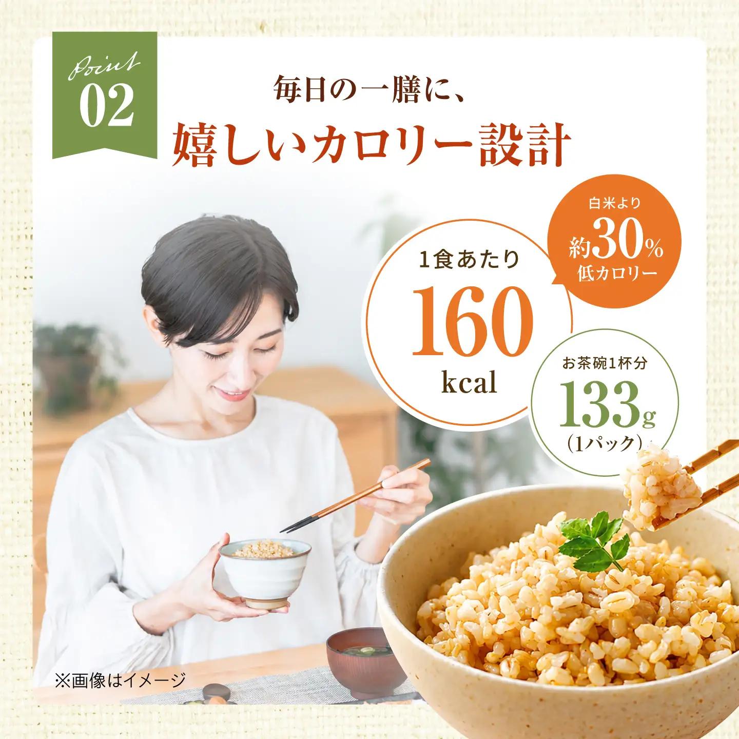 【 レトルト 】玄米ごはん 計15食 AOAD082 玄米