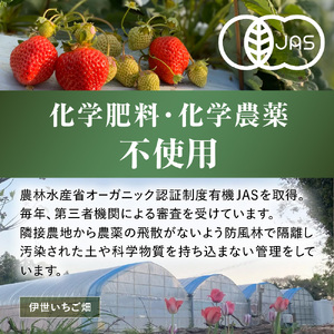 【先行予約】オーガニックあまおう「いせいちご」2パック(280g×2) _HA1116 | あまおう いちご