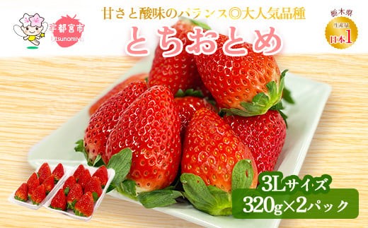 
                  【先行予約】とちおとめ320g×2パック 3Lサイズ ｜ いちご イチゴ 苺 大粒 大きい 赤い 甘い ジューシー 定番 評判 新鮮 フルーツ 果物 スイーツ ジャム アレンジ 好評 人気 アフター対応あり 生産量 日本一 栃木県産 糖度 食べ比べ 産地直送 贈答品 特産品 ストロベリー 宇都宮市
                