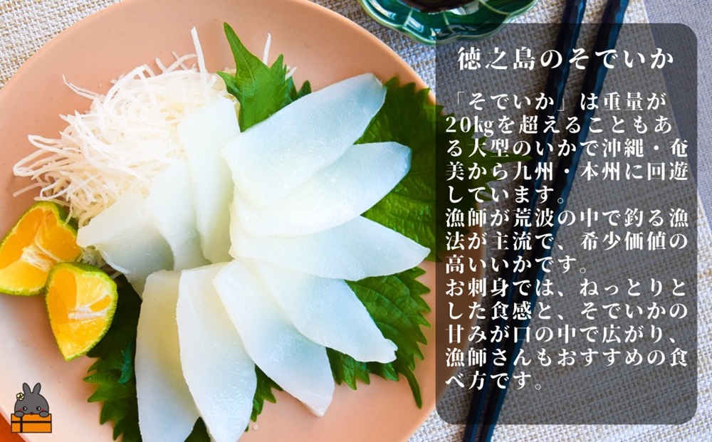 徳之島の漁師が荒波で釣り上げたそでいか 3種盛り お刺身・いかキムチ・つけあげ （ ３つの美味しさ ソデイカ いか イカ 大型のいか 回遊 お刺身 甘い ねっとり 冷凍 新鮮 お寿司 料理 徳之島 奄